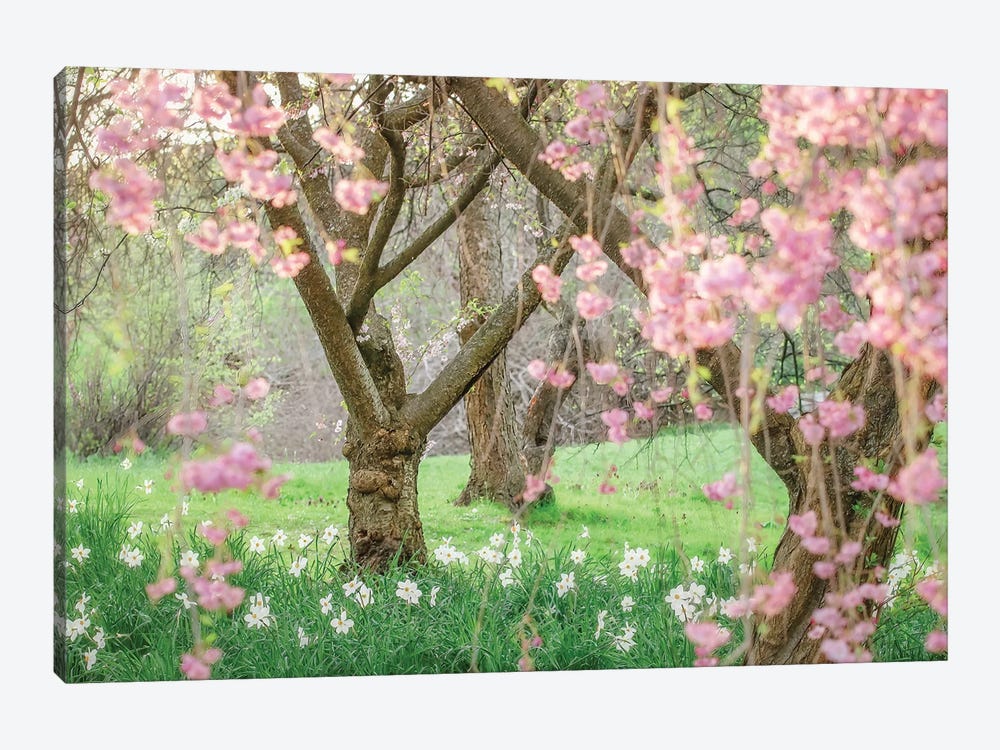Springtime Fairytale Cherry Tree by Carrie Ann Grippo-Pike 1-piece Canvas Art