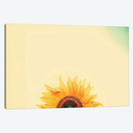 Sunflower Sunrise Canvas Print #GPO19} by Carrie Ann Grippo-Pike Canvas Wall Art