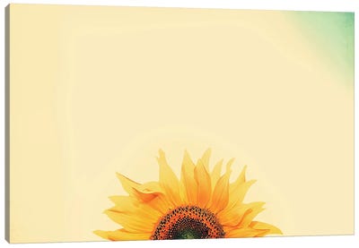 Sunflower Sunrise Canvas Art Print