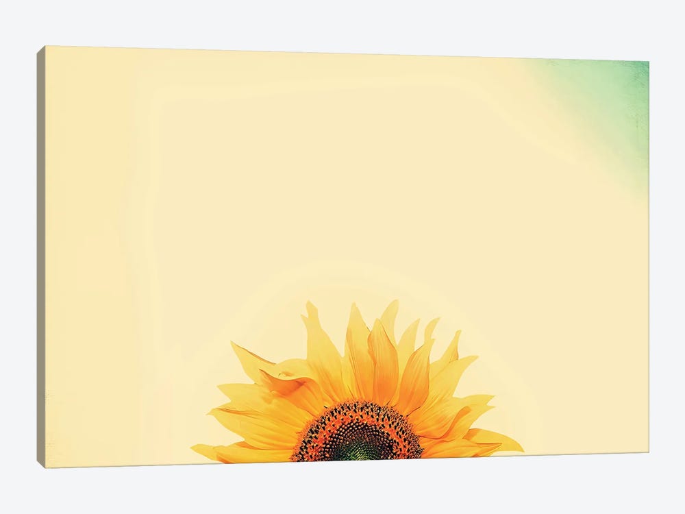 Sunflower Sunrise by Carrie Ann Grippo-Pike 1-piece Canvas Print