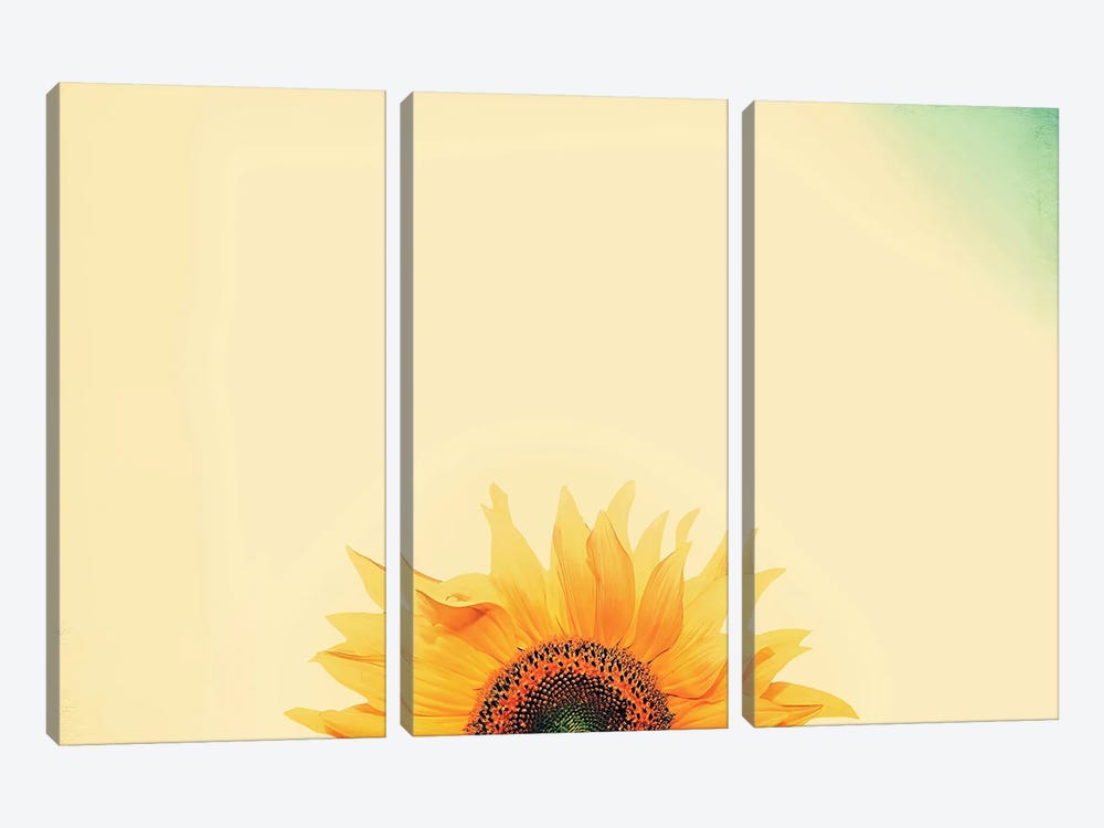 Sunflower Sunrise by Carrie Ann Grippo-Pike 3-piece Canvas Art Print