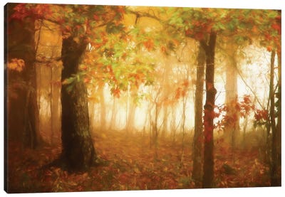 Autumn's Rainbow Canvas Art Print