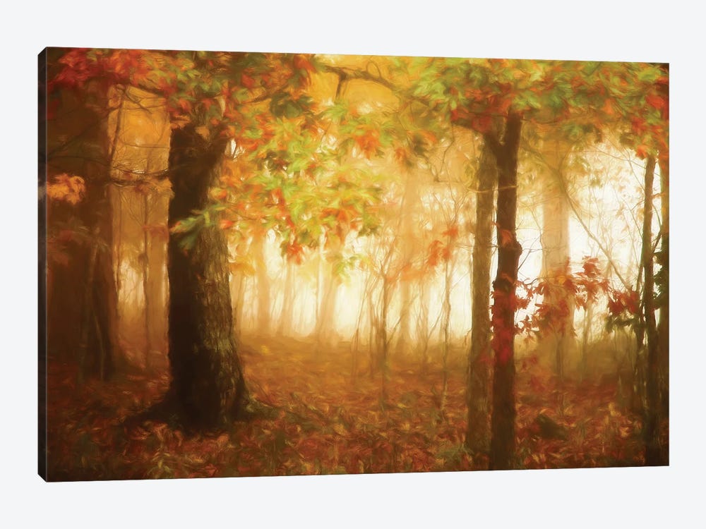 Autumn's Rainbow by Carrie Ann Grippo-Pike 1-piece Canvas Artwork