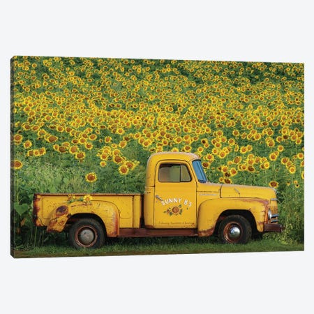 Yellow Vintage Sunflower Truck Canvas Print #GPO22} by Carrie Ann Grippo-Pike Canvas Art Print