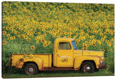 Yellow Vintage Sunflower Truck Canvas Art Print - Sunflower Art