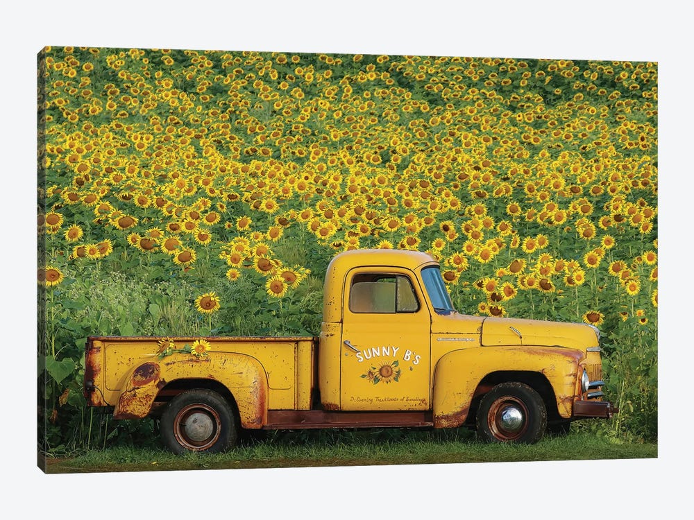 Yellow Vintage Sunflower Truck by Carrie Ann Grippo-Pike 1-piece Canvas Print