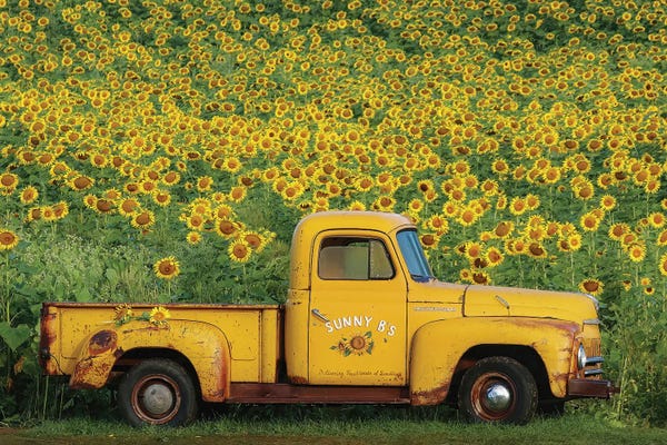 Trucks: Yellow Vintage Sunflower Truck by Carrie Ann Grippo-Pike