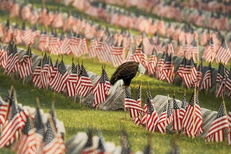 The Final Salute - Blad Eagle