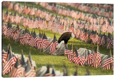 The Final Salute - Blad Eagle Canvas Art Print - Veterans Day
