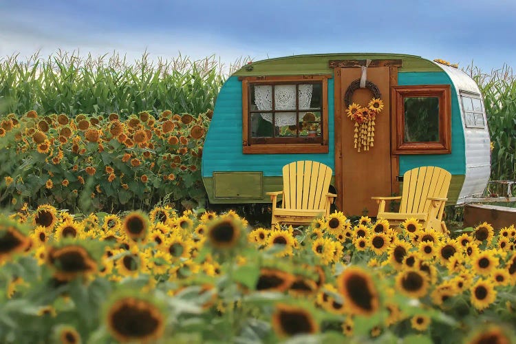 Vintage Camper and Sunflowers II