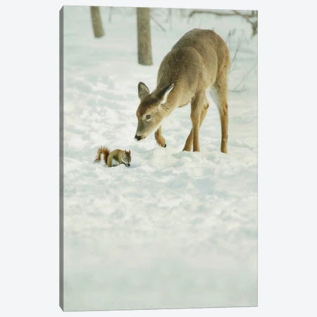 Winter Squirrel and Deer Canvas Print #GPO27} by Carrie Ann Grippo-Pike Canvas Art