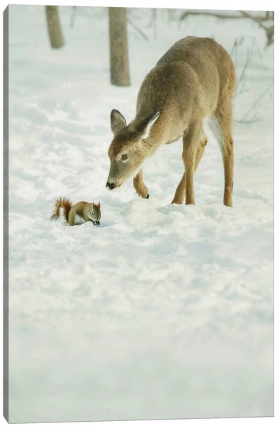 Winter Squirrel and Deer Canvas Art Print