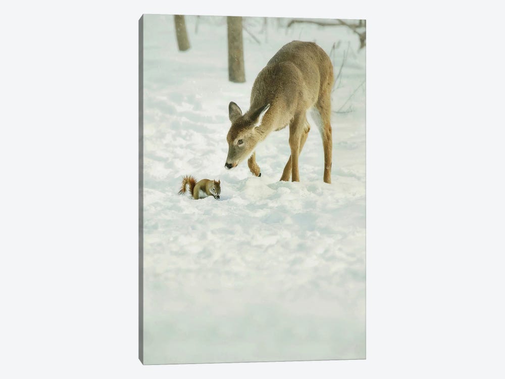 Winter Squirrel and Deer by Carrie Ann Grippo-Pike 1-piece Canvas Art