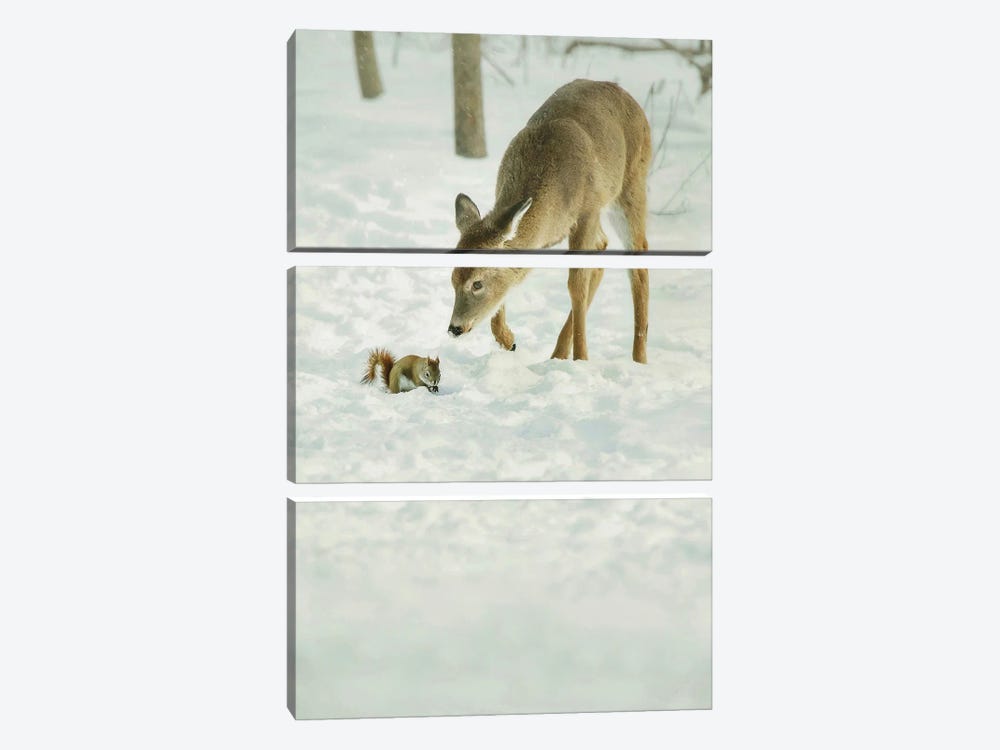 Winter Squirrel and Deer by Carrie Ann Grippo-Pike 3-piece Canvas Wall Art