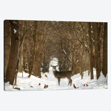 The Forest Of Snow White Canvas Print #GPO9} by Carrie Ann Grippo-Pike Canvas Print