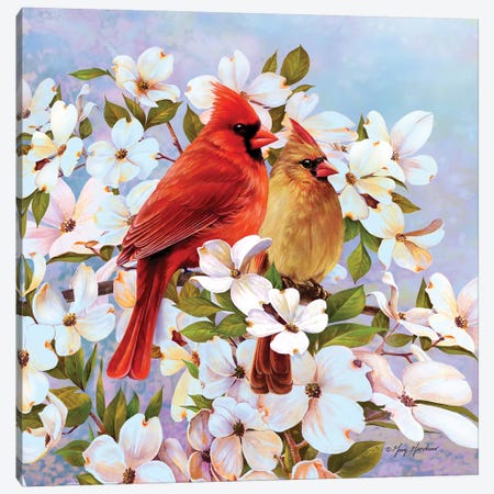 Cardinal Pair & Dogwoods Canvas Print #GRC10} by Greg Giordano Canvas Art Print