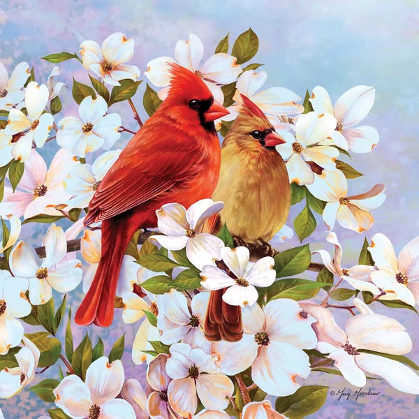 Greg Giordano: Cardinal Pair & Dogwoods by Greg Giordano