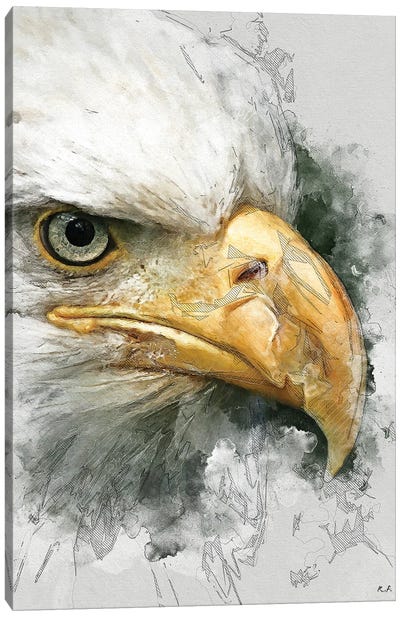Bald Eagle Canvas Art Print - Greg & Company