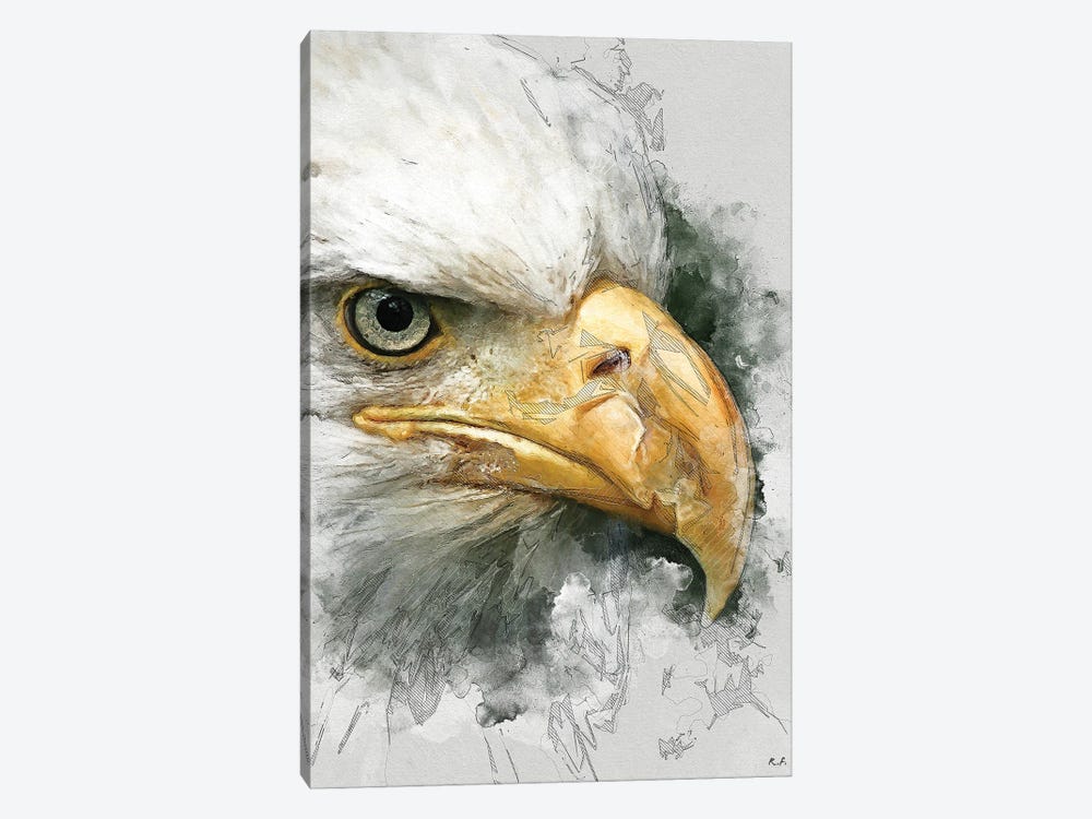 Bald Eagle by Rob Francis 1-piece Canvas Print