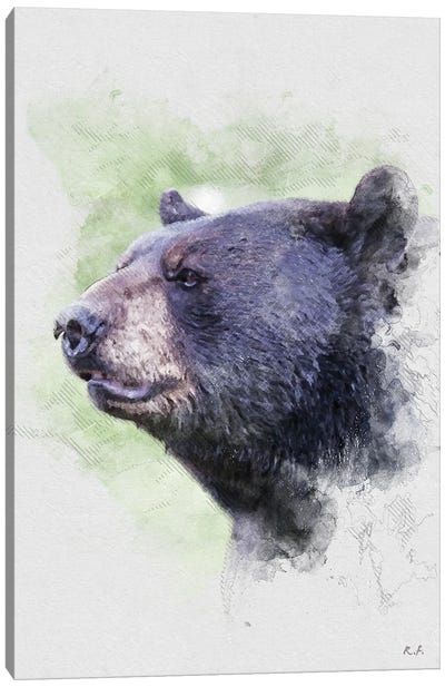 Black Bear Canvas Art Print - Greg & Company
