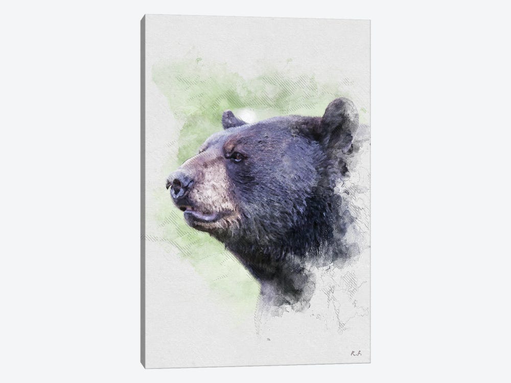 Black Bear by Rob Francis 1-piece Canvas Art Print