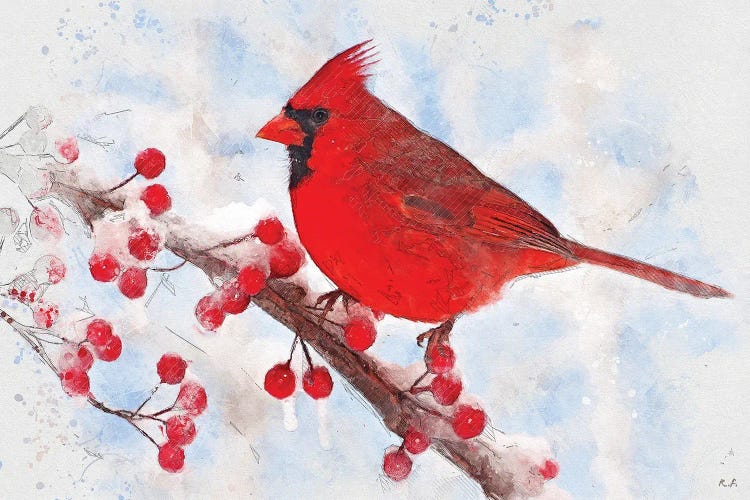 Cardinal