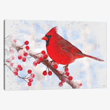 Cardinal Canvas Print #GRC117} by Rob Francis Canvas Artwork