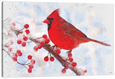 Cardinal Canvas Art Print