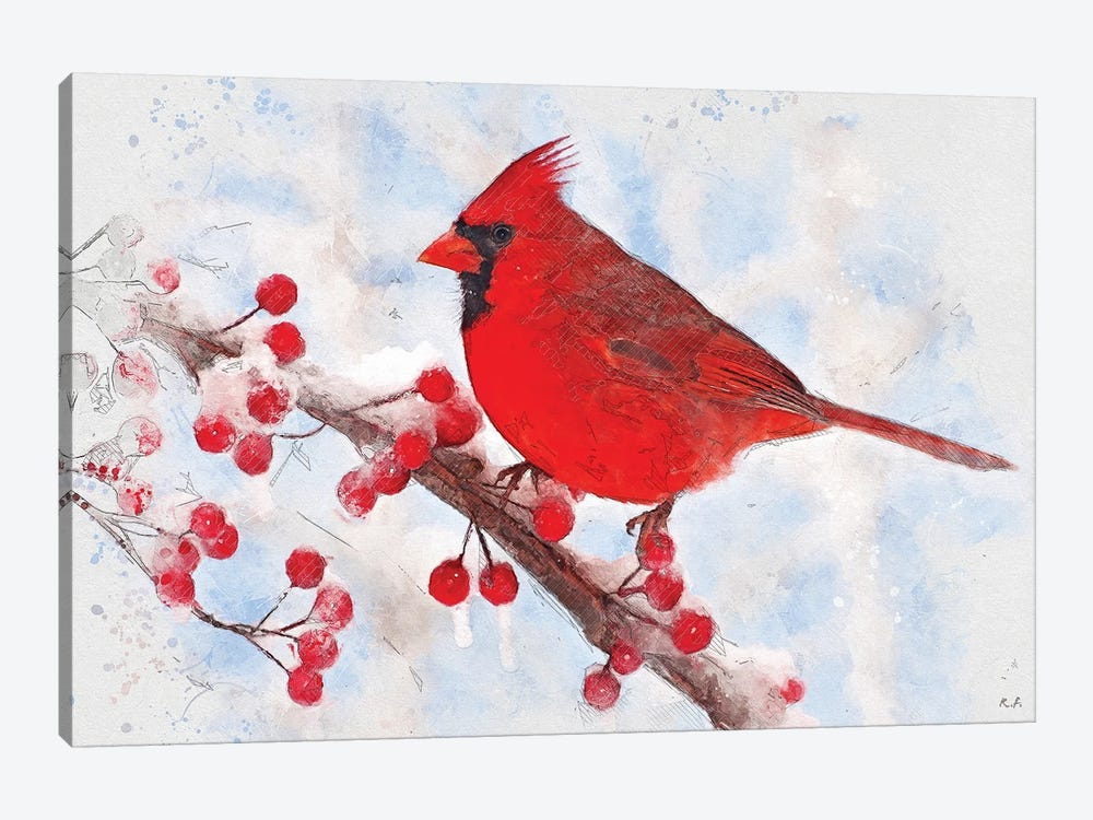 Cardinal by Rob Francis 1-piece Canvas Artwork