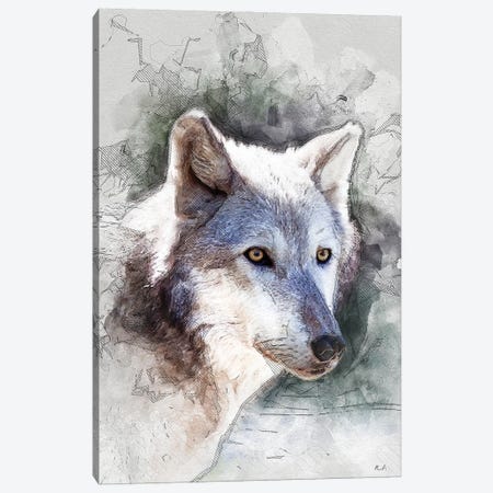 Gray Wolf Canvas Print #GRC119} by Rob Francis Canvas Print