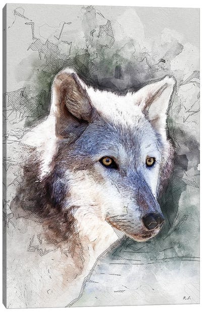 Gray Wolf Canvas Art Print