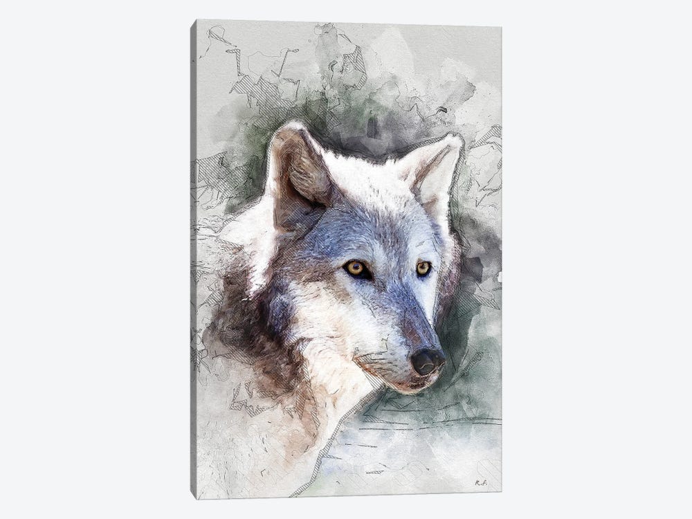 Gray Wolf by Rob Francis 1-piece Canvas Art