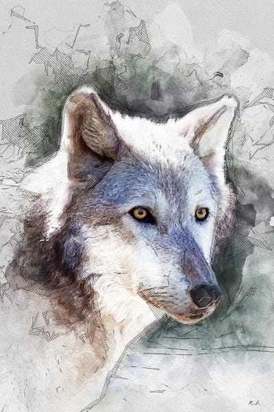 Rob Francis: Gray Wolf by Rob Francis