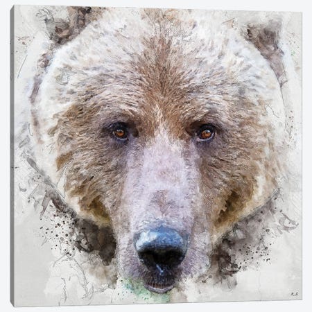 Grizzly Bear Canvas Print #GRC120} by Rob Francis Canvas Art