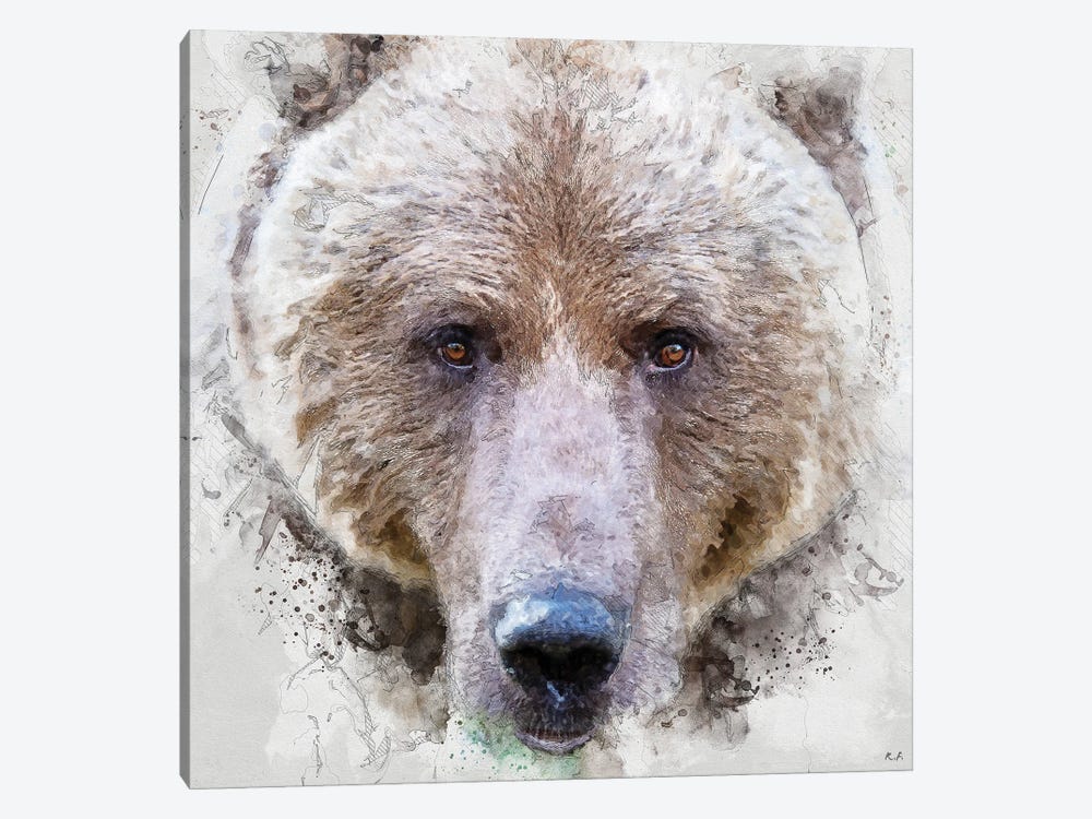 Grizzly Bear by Rob Francis 1-piece Canvas Artwork