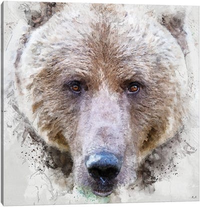 Grizzly Bear Canvas Art Print - Greg & Company
