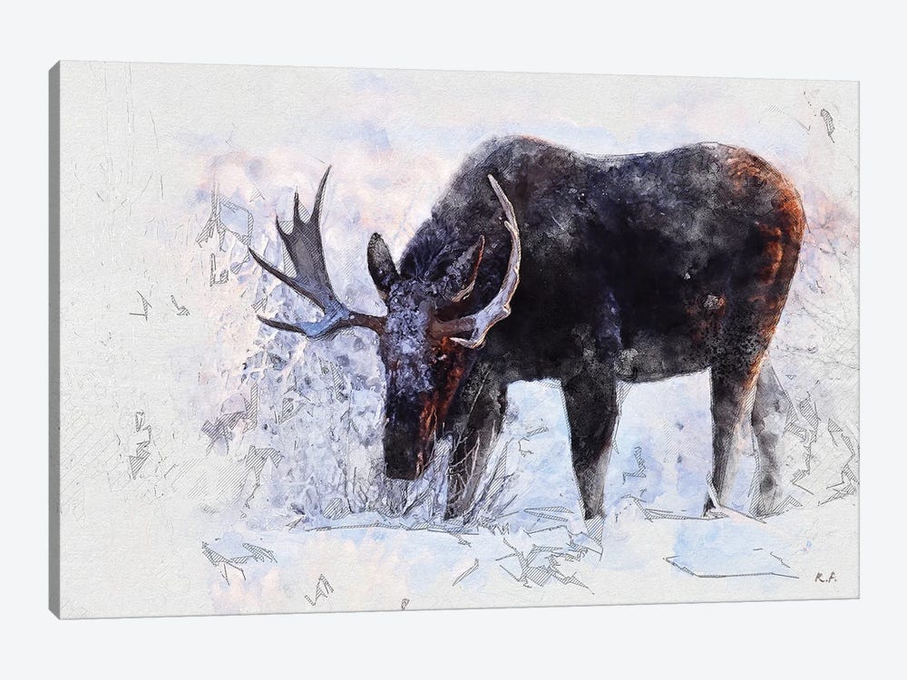 Moose I by Rob Francis 1-piece Art Print