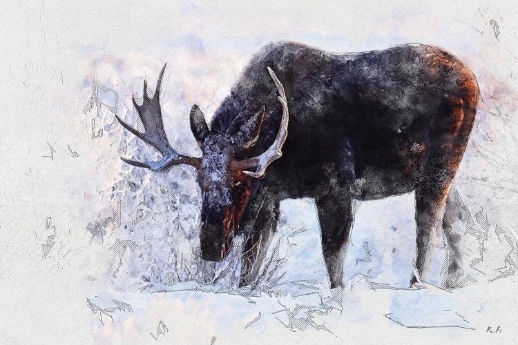 Moose I