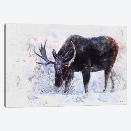Moose I Canvas Print #GRC121} by Rob Francis Canvas Artwork
