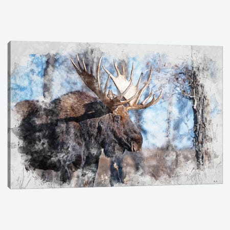 Moose II Canvas Print #GRC122} by Rob Francis Canvas Art