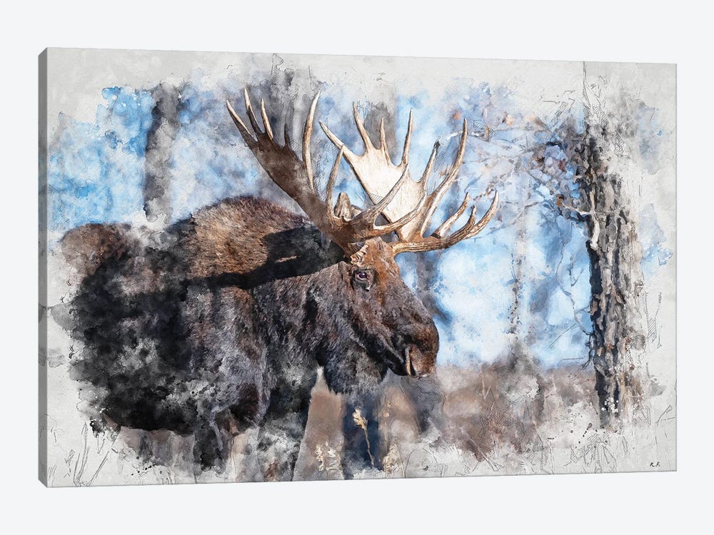 Moose II by Rob Francis 1-piece Canvas Wall Art