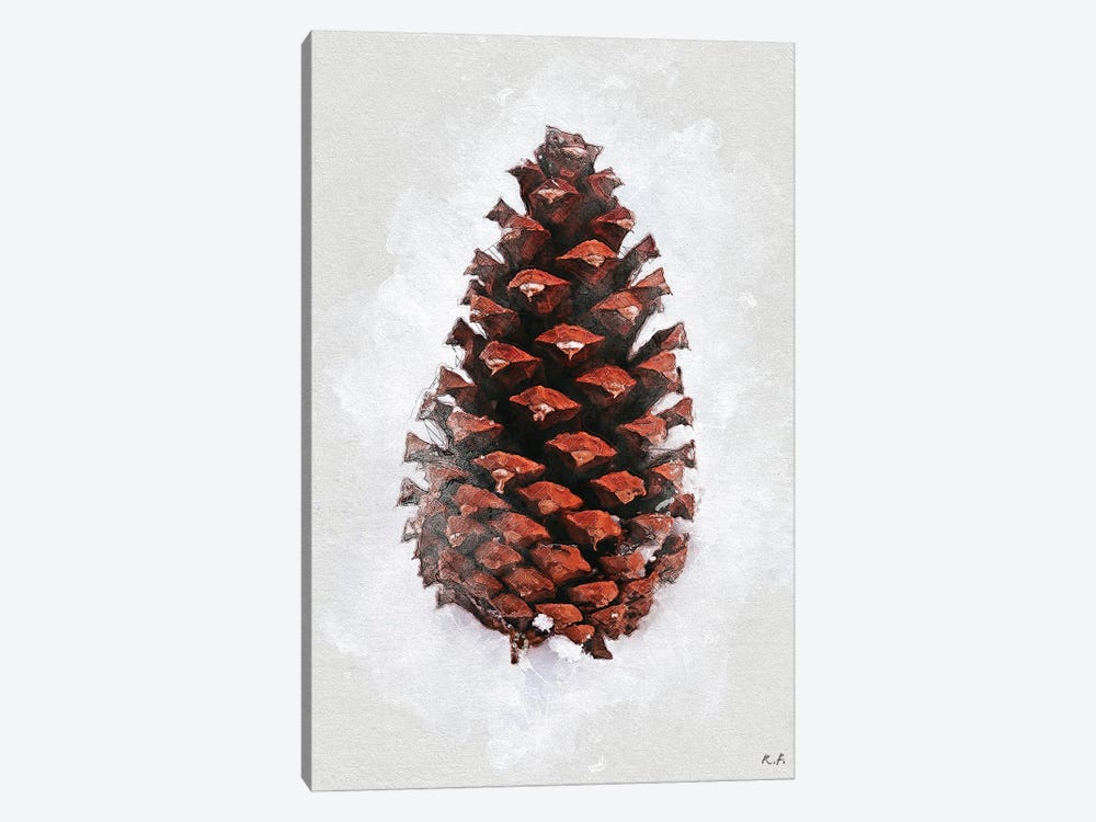 Pinecone I by Rob Francis 1-piece Art Print