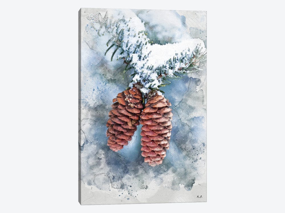 Pinecone II by Rob Francis 1-piece Canvas Wall Art