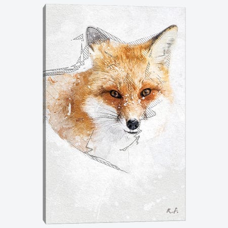 Red Fox Canvas Print #GRC125} by Rob Francis Canvas Print