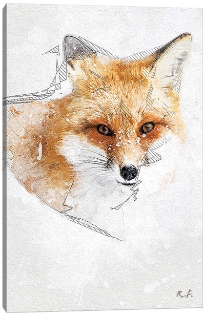 Red Fox Canvas Art Print - Greg & Company