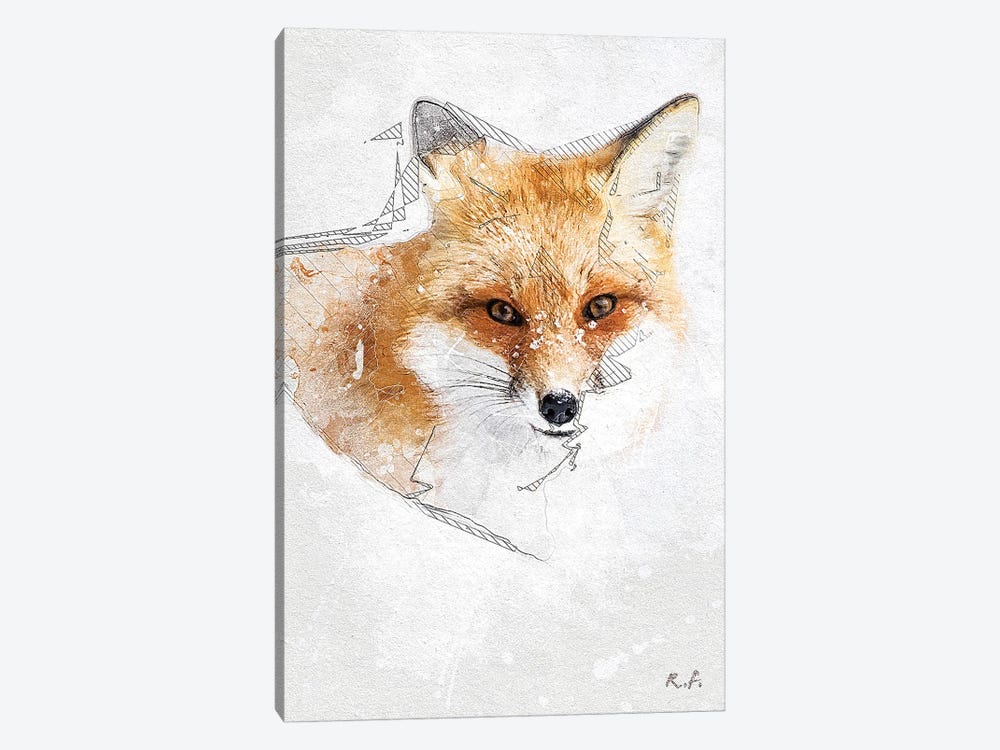 Red Fox by Rob Francis 1-piece Art Print
