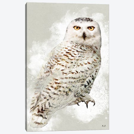 Snowy Owl Canvas Print #GRC126} by Rob Francis Canvas Print