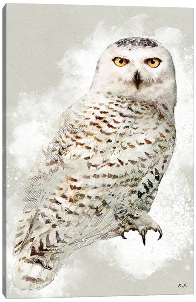 Snowy Owl Canvas Art Print - Greg & Company