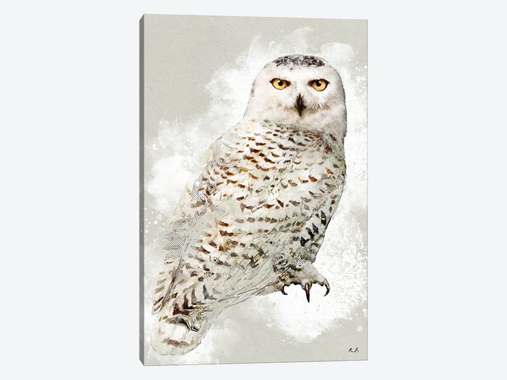 Snowy Owl by Rob Francis 1-piece Canvas Artwork