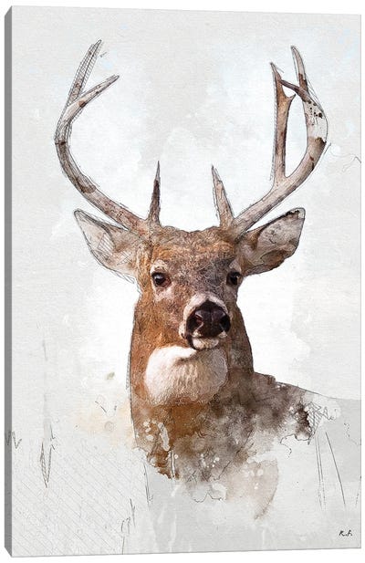 White Tail Deer Canvas Art Print - Cabin & Lodge Décor